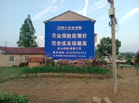 澄江墙体广告为何受追捧？